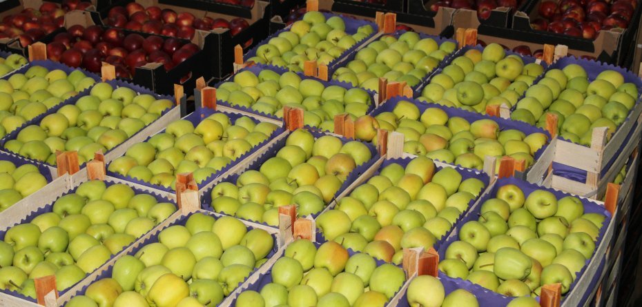 Rynek jabłek otwarty dla polskich owoców