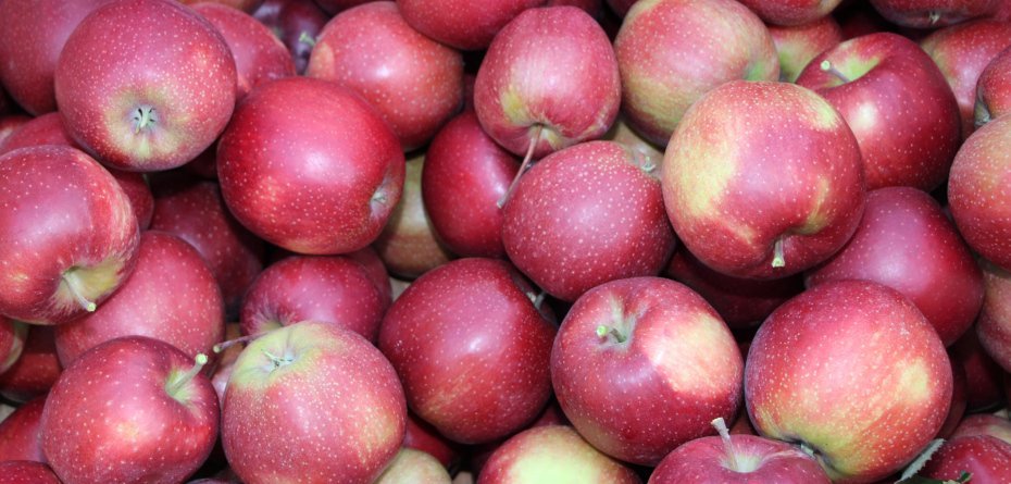 Ceny jabłek deserowych 2022