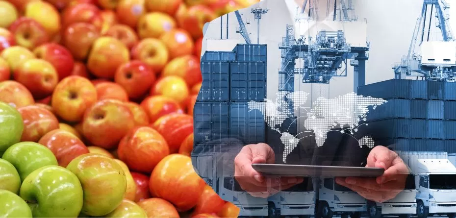 Eksport jabłek 2023/2024 zapowiada się dobrze. Jak bardzo?